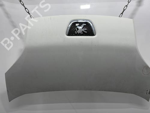 hood-peugeot-bipper-aa_-2008-30864290 main image