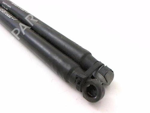 Tailgate lift support FIAT BRAVO II (198_) 1.6 D Multijet (198AXM1B) | BP20473833C138 