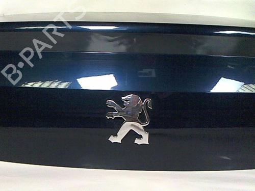 Used Tailgate Tailgate PEUGEOT 407 Coupe (6C_) 2.2 16V (163 hp) 20429993 20429993