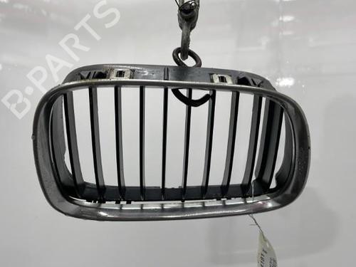 Used Grille Grille BMW 5 (E39) 525 tds (143 hp) 20438888 20438888
