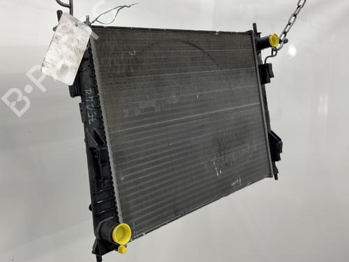 Water radiator RENAULT TWINGO II (CN0_) 1.2 (CN0D) | BP25222124M31 - Image 8