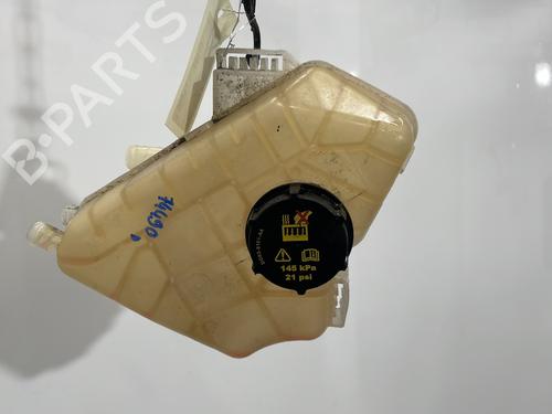 Used Expansion tank FORD ECOSPORT 1.0 EcoBoost (125 hp) 30308588