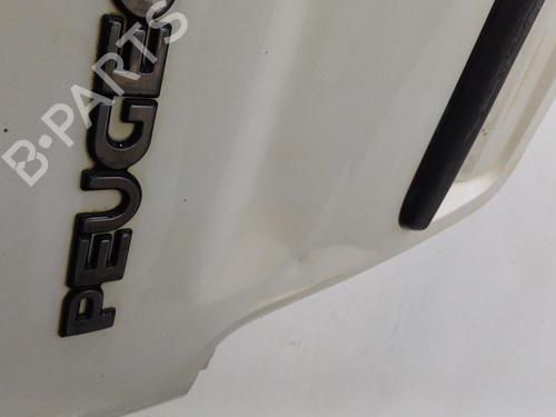 Used Left tailgate PEUGEOT PARTNER Box Body/MPV (5_, G_) 2.0 HDi (90 hp) 22102715