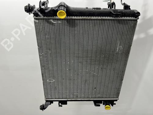 Used Water radiator Water radiator RENAULT KADJAR (HA_, HL_) 1.2 TCe 130 (HLMR) (130 hp) 33559839 33559839