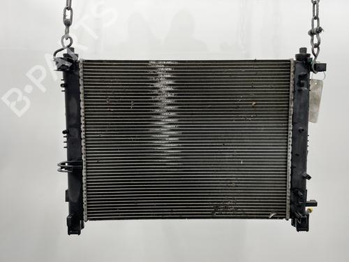 water-radiator-dacia-duster-hs_-2010-2011-2012-2013-2014-2015-2016-2017-2018-25773836 main image