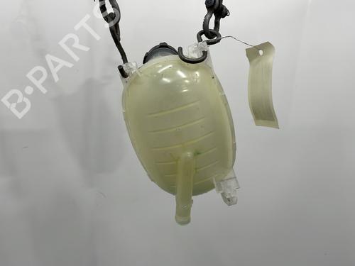 Expansion tank NISSAN JUKE (F16_) 1.6 Hybrid | BP24114718C120 