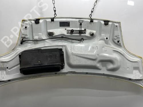 Capot Capot RENAULT TRAFIC II Van (FL) 2.0 dCi 115 (FL01, FL0U, FL00, FL0H, FL0M) (114 hp) 20395748 20395748