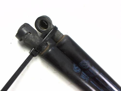 Tailgate lift support FIAT PANDA (169_) 1.2 (169AXF2A, 169AXF1A) | BP20426360C138 