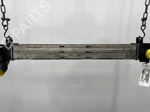 Used Intercooler RENAULT MEGANE III Hatchback (BZ0/1_, B3_) 1.5 dCi (86 hp) 24116244