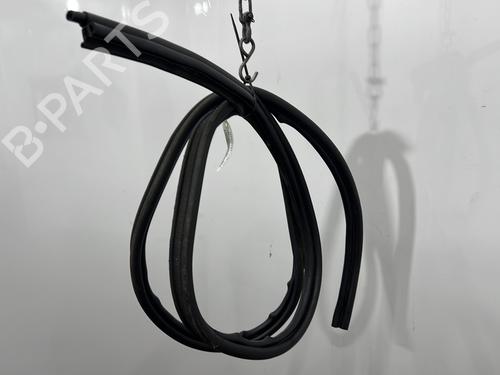 Gummiliste RENAULT TWINGO II (CN0_) 1.2 16V (CN04, CN0B) (75 hp) 33131548