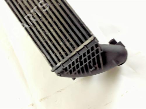 Used Intercooler Intercooler RENAULT VEL SATIS (BJ0_) 2.2 dCi (BJ0E, BJ0F, BJ0G, BJ0H) (140 hp) 20421048 20421048