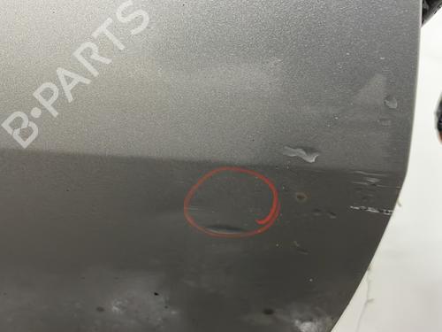 Right front door SUZUKI IGNIS II (MH) 1.3 DDiS (RM413D) | BP22104703C3 