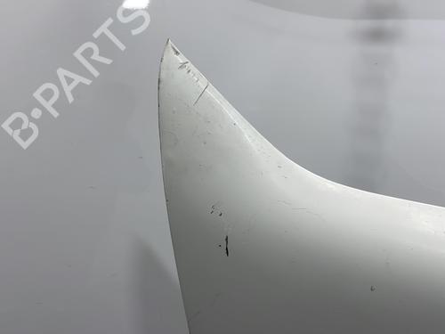 Right front fenders FIAT DOBLO Box Body/MPV (223_) 1.9 JTD (223ZXE1A) | BP22102669C42 