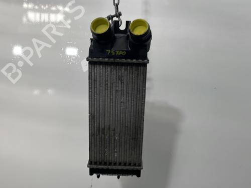 Ladeluftkühler für PEUGEOT PARTNER MPV (5_, G_) 1.6 HDi 90 (90 hp) 30044924