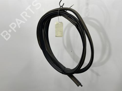Rubber door seal RENAULT KANGOO Express (FW0/1_) Z.E. (FW0Z, FW1Z) | BP29419868C142 