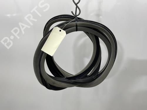 Joint de porte de voiture RENAULT LAGUNA II (BG0/1_) 1.9 dCi (BG1A, BG1W, BG0G) (110 hp) 27091911