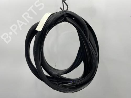 Used Rubber door seal RENAULT CLIO III (BR0/1, CR0/1) 1.6 16V (BR05, BR0B, BR0Y, BR15, BR1J, BR1M, BR1Y, CR0B,... (112 hp) 20394968