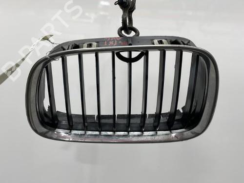 Used Grille Grille BMW 5 (E39) 525 tds (143 hp) 20438887 20438887