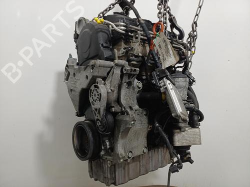 Engine AUDI A3 (8P1) 2.0 TDI | BP38024197M1 - Image 14
