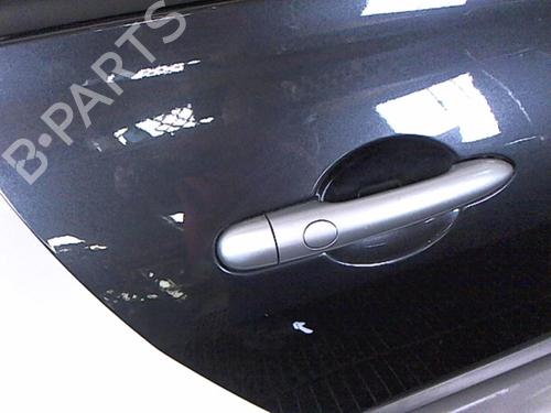 Right rear door RENAULT MEGANE II (BM0/1_, CM0/1_) 1.5 dCi (BM1E, CM1E) | BP20479473C5 