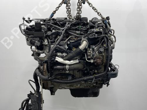 Engine FORD FIESTA VI (CB1, CCN) 1.6 TDCi | BP31584008M1 