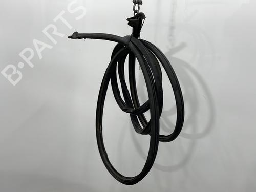 Rubber door seal FIAT DUCATO Van (250_) 150 Multijet 2,3 D | BP29545069C142 