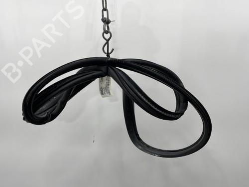Used Rubber door seal CITROËN C3 I (FC_, FN_) 1.4 HDi (68 hp) 20397346