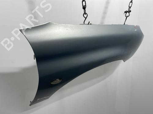Right front fenders PEUGEOT 206 CC (2D) 1.6 16V (2DNFUF, 2DNFUR) | BP29189648C42 