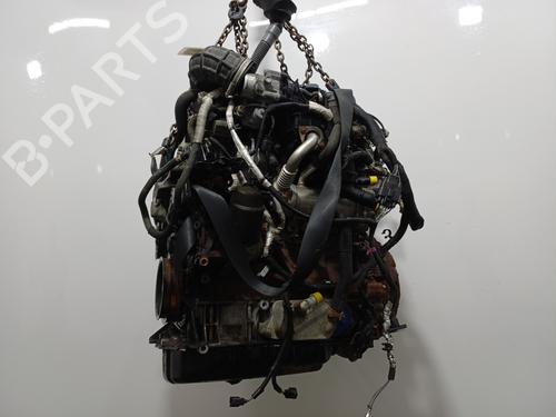 Engine FORD TRANSIT CUSTOM V362 Van (FY, FZ) 2.0 EcoBlue | BP33701894M1  - Image 10