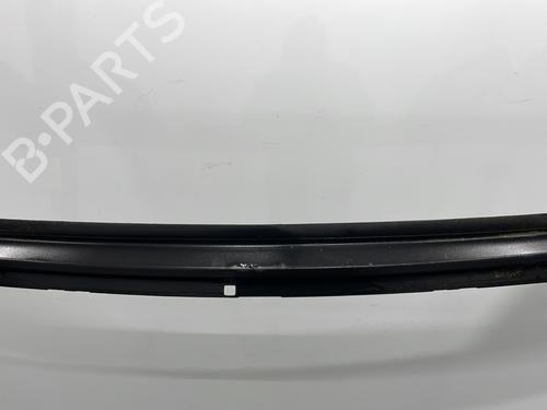 Scuttle panel CITROËN C4 II (NC_) 1.6 HDi 115 | BP30628746C110