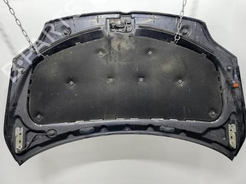 Used Hood Hood VW GOLF PLUS V (5M1, 521) 1.9 TDI (90 hp) 20441838 20441838