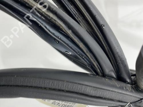 Rubber door seal LAND ROVER FREELANDER I (L314) 2.0 Td4 4x4 | BP26964345C142 