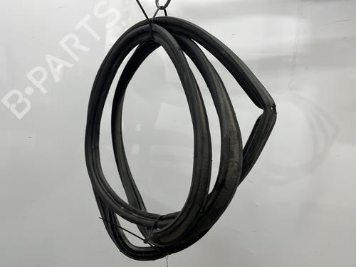 Rubber door seal NISSAN QASHQAI I (J10, NJ10) 1.5 dCi | BP30115603C142 