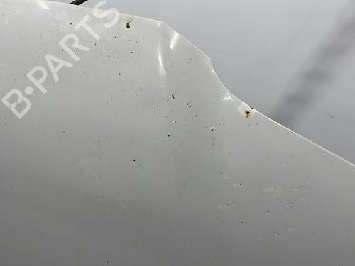 Hood VW CADDY III Box Body/MPV (2KA, 2KH, 2CA, 2CH) 2.0 SDI | BP29922083C1