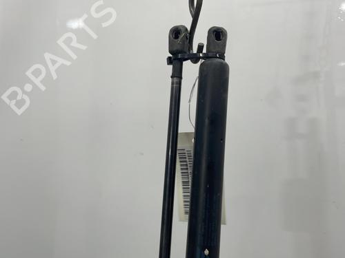 Tailgate lift support SEAT ALHAMBRA (7V8, 7V9) 2.0 i | BP20491511C138 