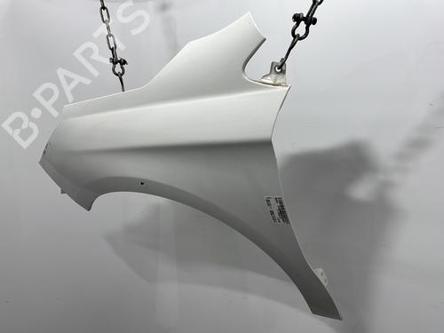 left-front-fenders-citroen-c4-ii-nc_-2009-31028058 main image