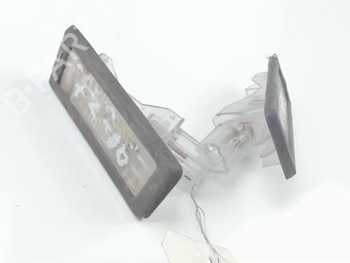 Licence plate light RENAULT SCÉNIC III (JZ0/1_) 1.5 dCi | BP20467902I40 