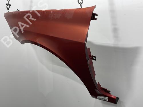 Left front fenders RENAULT LAGUNA II (BG0/1_) 1.9 dCi (BG08, BG0G) | BP20461058C41 