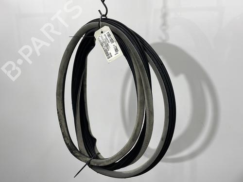 Gummiliste RENAULT ESPACE IV (JK0/1_) 2.0 dCi (JK01, JK02, JK1J, JK1K, JK1H) (150 hp) 31631313