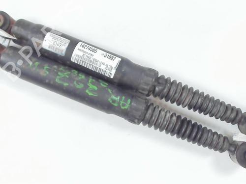 Used Right rear shock absorber PEUGEOT 207 SW (WK_) 1.6 HDi (109 hp) 20435793
