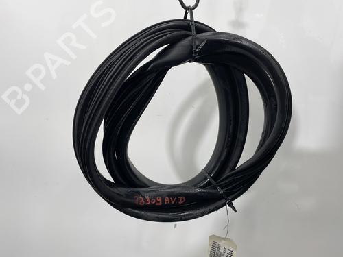 Gummiliste DACIA SANDERO II 1.0 SCe 75 (B8JC, B8JD, B8NC) (73 hp) 31028075