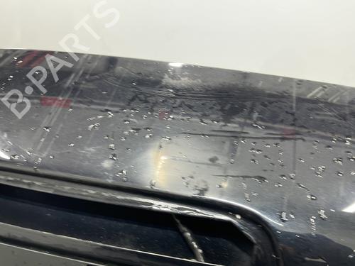 Used Tailgate Tailgate FORD FUSION (JU_) 1.4 TDCi (68 hp) 31839528 31839528