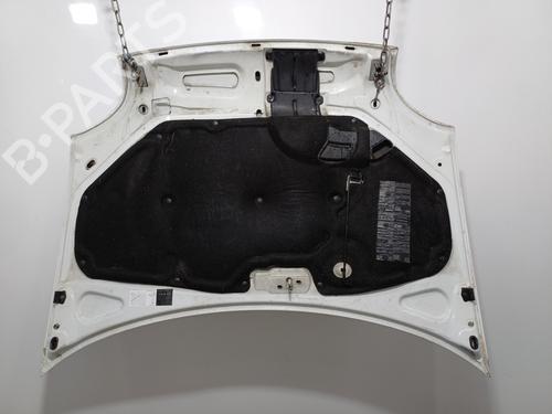 Used Hood Hood RENAULT KANGOO Express (FC0/1_) D 65 1.9 (FC0E, FC02, FC0J, FC0N) (64 hp) 35969789 35969789