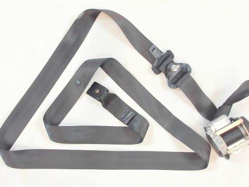 Rear left belt tensioner RENAULT SCÉNIC III (JZ0/1_) 1.5 dCi | BP20451943C89 
