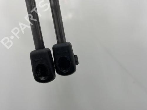 Tailgate lift support RENAULT MEGANE III Coupe (DZ0/1_) 1.6 dCi (DZ00, DZ12, DZ2A, DZ13) | BP20445051C138 