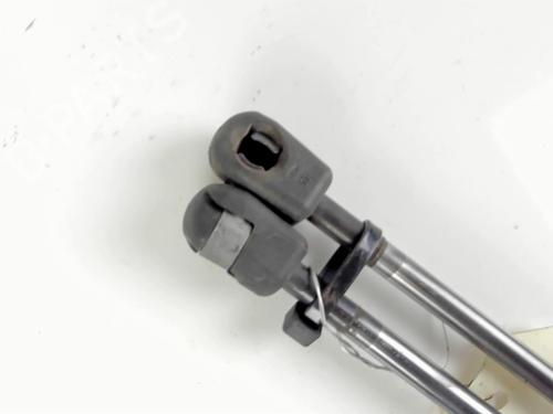 Tailgate lift support MINI MINI (R56) Cooper D | BP20425174C138 