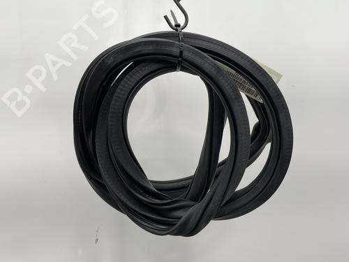 Used Rubber door seal VW POLO VI (AW1, BZ1, AE1) 1.6 TDI (95 hp) 24810073
