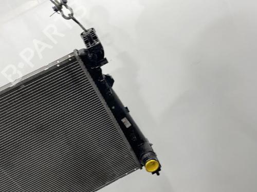 Used Water radiator Water radiator FIAT BRAVO II (198_) 1.6 D Multijet (198AXM1B) (90 hp) 20418534 20418534