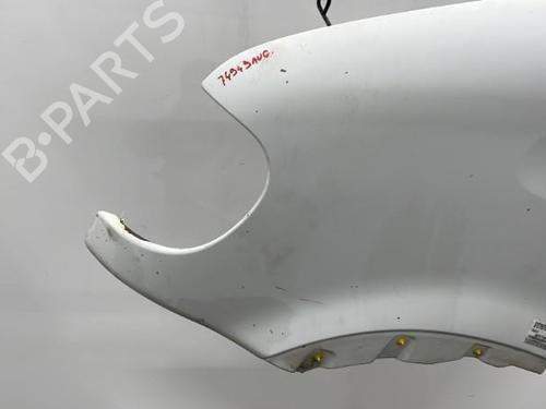 Left front fenders RENAULT MASTER II Van (FD) 2.5 D | BP22102921C41 