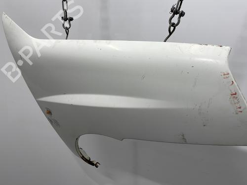 Right front fenders FIAT DOBLO Box Body/MPV (223_) 1.9 JTD (223ZXE1A) | BP22102669C42 